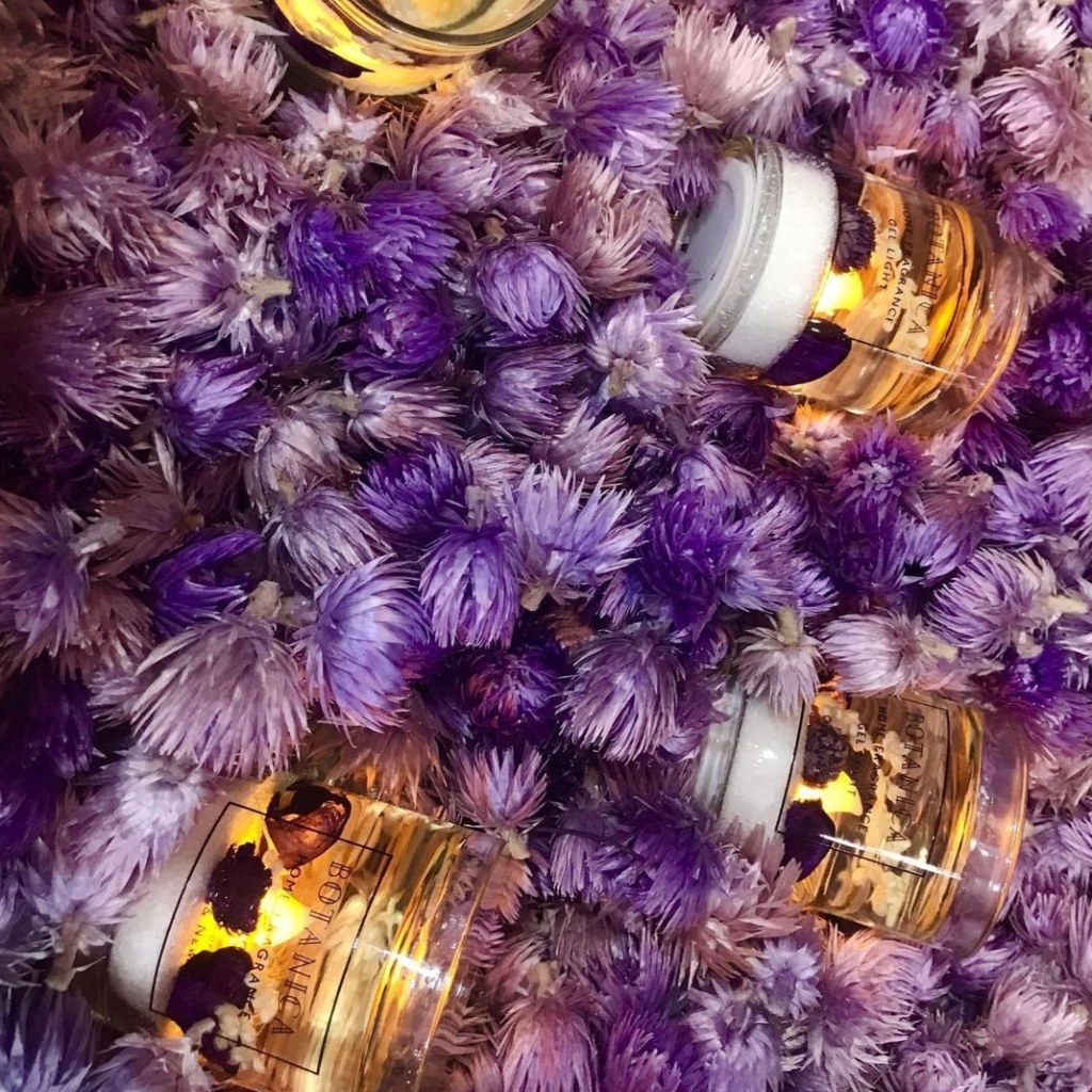 Indulge Your Senses: Where Artistry Meets&nbsp;Illumination